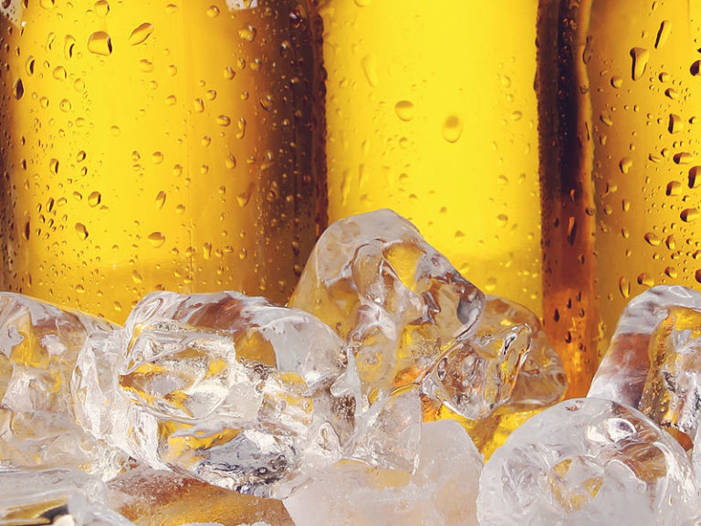 Etiam commodo convallis